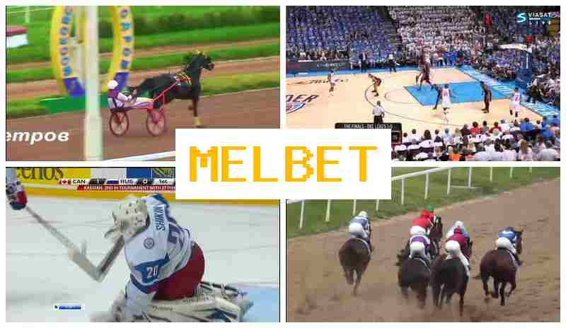 MELBDT 💸 Online Betting Company, Register, Access Official Site