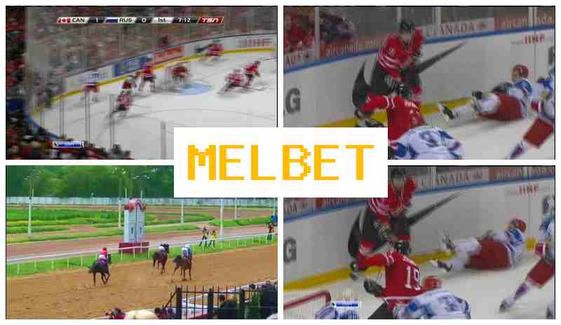 EL BET 💰 Bookmaker Company, Online