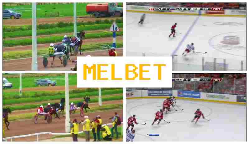 NEL BET 💰 Official Sportsbook, Create Account, Access Official Site, Wager Online