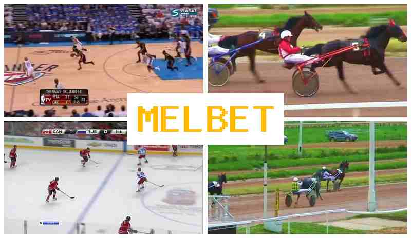 ,EL BET 🏆 Sportsbook, Welcome Free Bet, Official Bookmaker Website