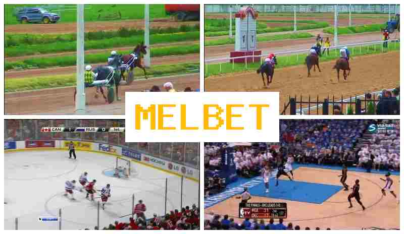 MEO BET 💷 Online Bookmaker, Official Site, Bonuses and Free Bets, Registration MEO BET 💷 Online Bookmaker, Official Site, Bonuses and Free Bets, Registration
