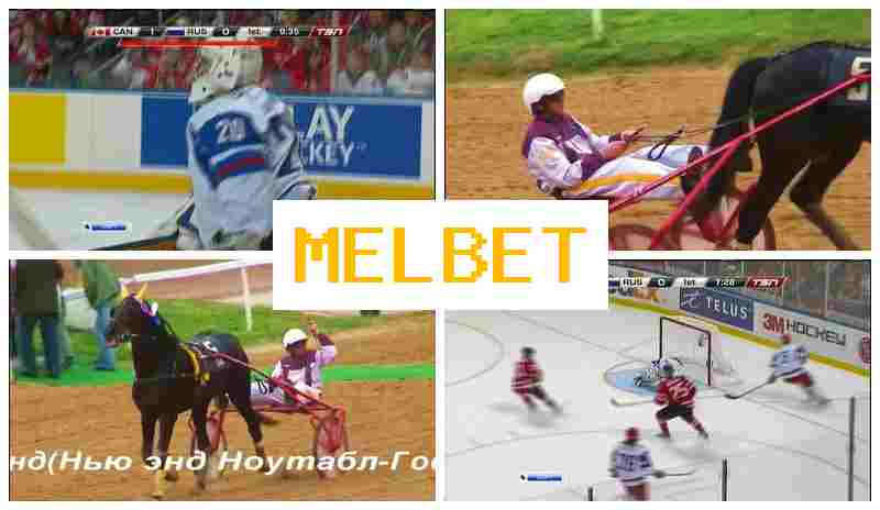 MEL BE5 👍 Bookmaker Platform