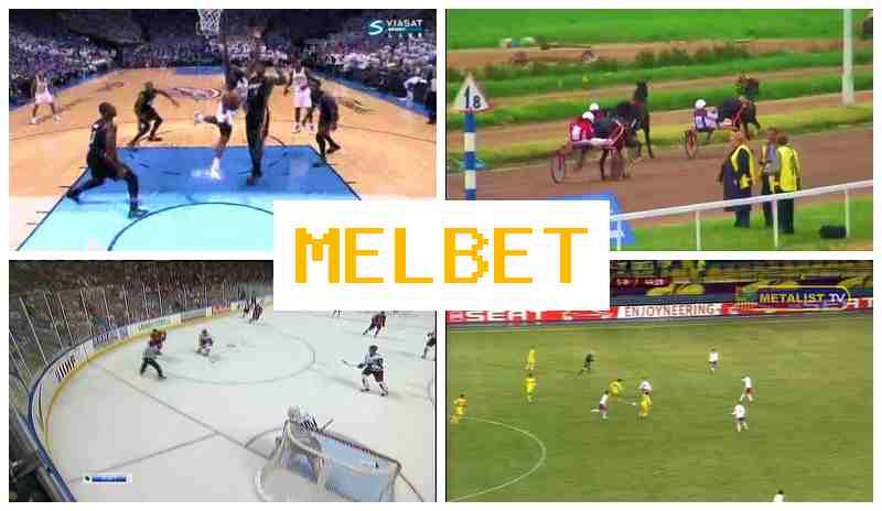 MEOBET ⚡ Bookmaker Platform MEOBET ⚡ Bookmaker Platform