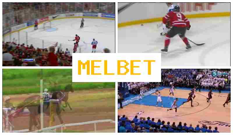 MELVET 💴 Digital Betting Platform, Live Event Betting