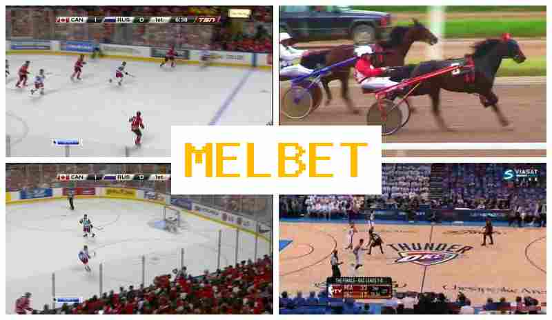 MELBDT ✔️ Betting on Sporting Events, New Player Bonus, Official Site of the Bookmaker