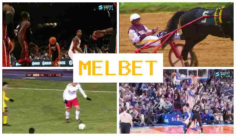 JEL BET 💴 Place Bets on Sports, Official Bookmaker Site JEL BET 💴 Place Bets on Sports, Official Bookmaker Site