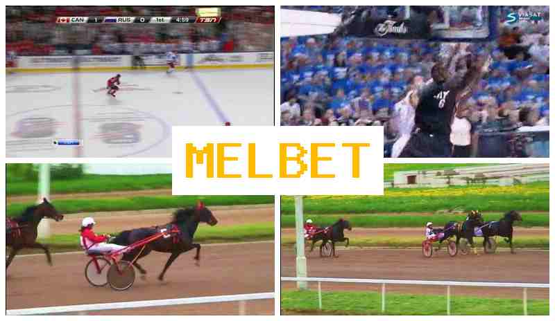 MEL HET 💴 Betting Firm