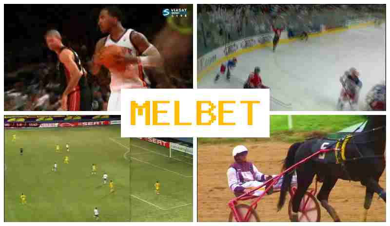 MEL BEF ▒ Official Bookmaker Online, Sign Up, Enter, Sports Betting