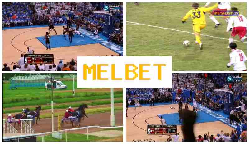 MEELBET 💯 Betting Firm, Official Website