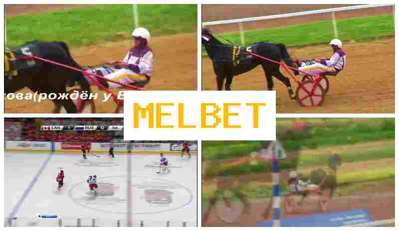 MELBETT 💰 Sportsbook, Official Bookmaker Portal