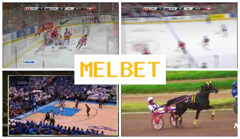 MELL BET 💯 Trusted Betting Company, Official Website, Free Bets and Bonuses, Sign Up