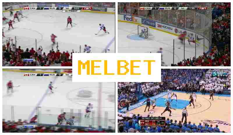 MEL VET 👍 Sportsbook Company, Official Site, Registration
