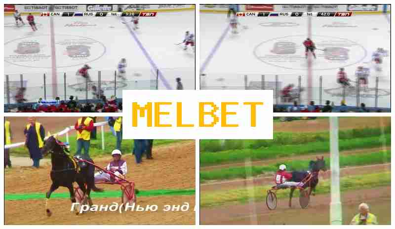 MELBETCOM 🔵 Live Betting on Sports, Digital Sports Bets, Free Bets and Promotions