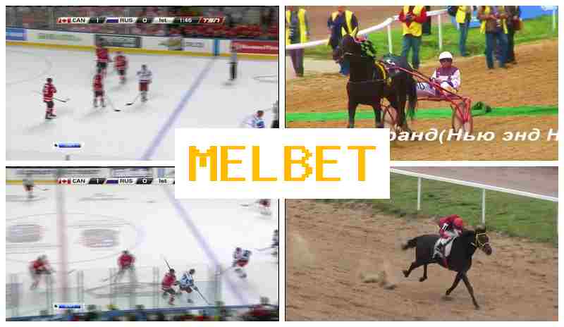 NELBET 💴 Betting Site Online, Sign In, Registration
