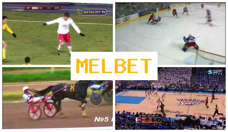 JELBET 💯 Virtual Betting Company, New Player Bonus