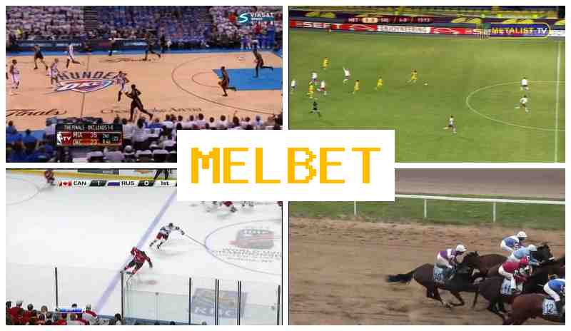 M3LBET ▒ Sportsbook Bets, Official Page