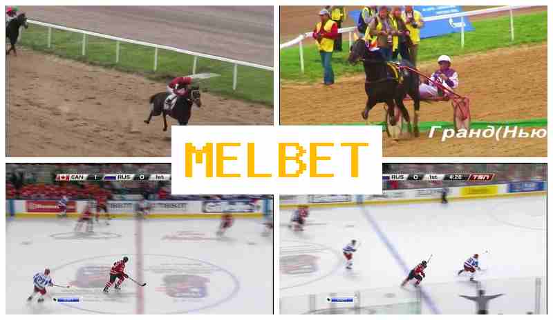 MSLBET 💰 Live Sports Betting, Online, Bonuses and Free Bets, Authorized Bookmaker Site