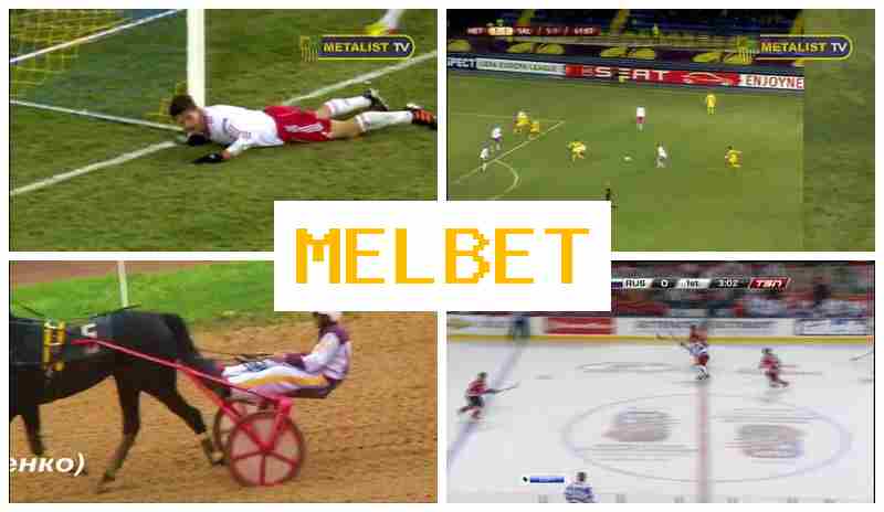 MELBE6 🌐 Bookmaker Platform MELBE6 🌐 Bookmaker Platform