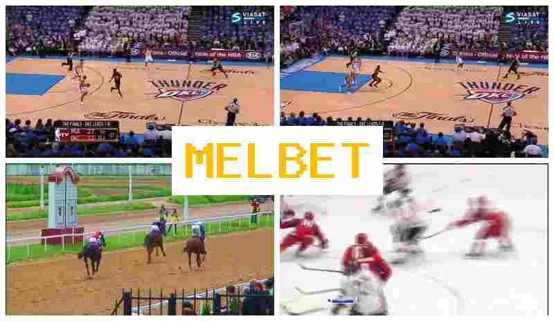 NEL BET ▒ Bet on Sports, Initial Deposit Reward, Official Website of the Betting Company