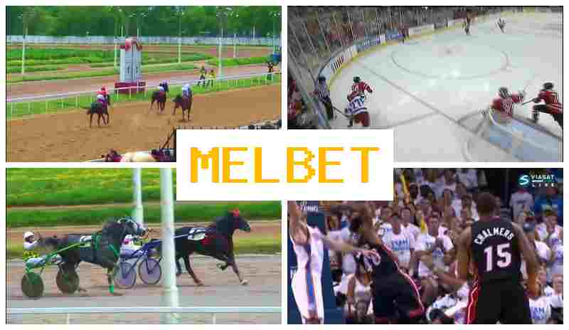 M3L BET 🎇 Betting on Sporting Events, First Deposit Offer, Official Site of the Betting Operator