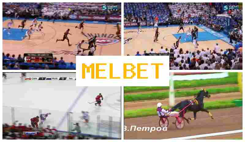 M4L BET 👍 Online Sportsbook, Live Event Betting