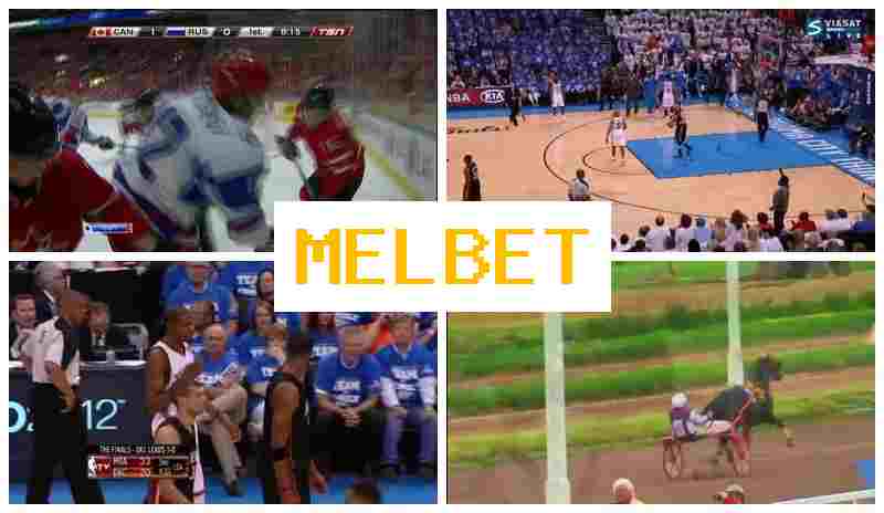MSL BET 💵 Betting Site Online, Sign In, Registration