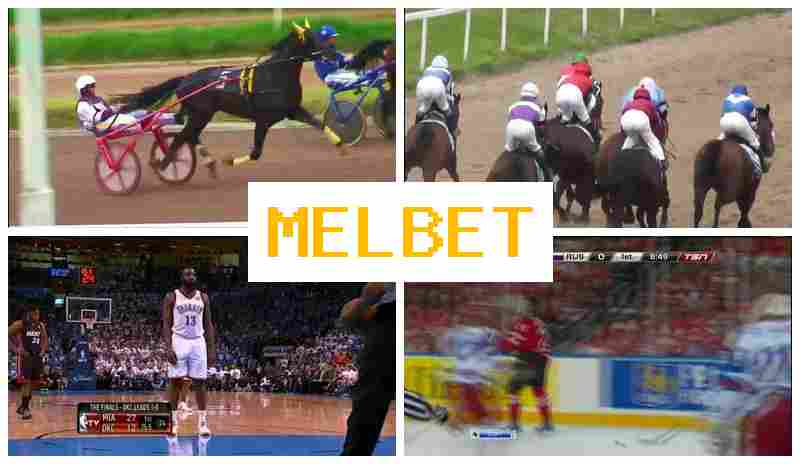 MEL NET 💵 Bookmaker Company, Online
