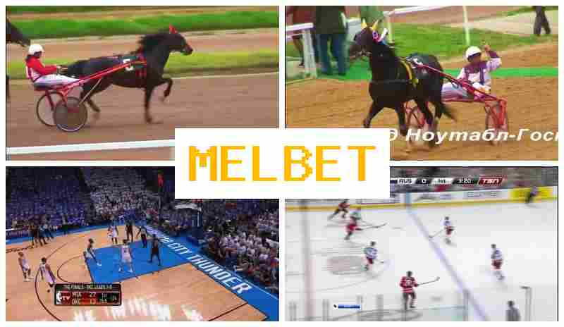 NELBET ▓ Sportsbook NELBET ▓ Sportsbook