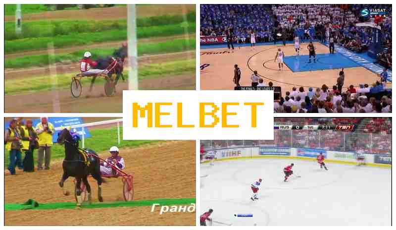 MSLBET πΉ Bet on Sports, First Deposit Bonus, Official Website of the Bookmaker MSLBET πΉ Bet on Sports, First Deposit Bonus, Official Website of the Bookmaker